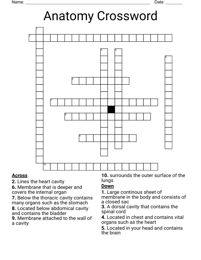 Anatomy Crossword