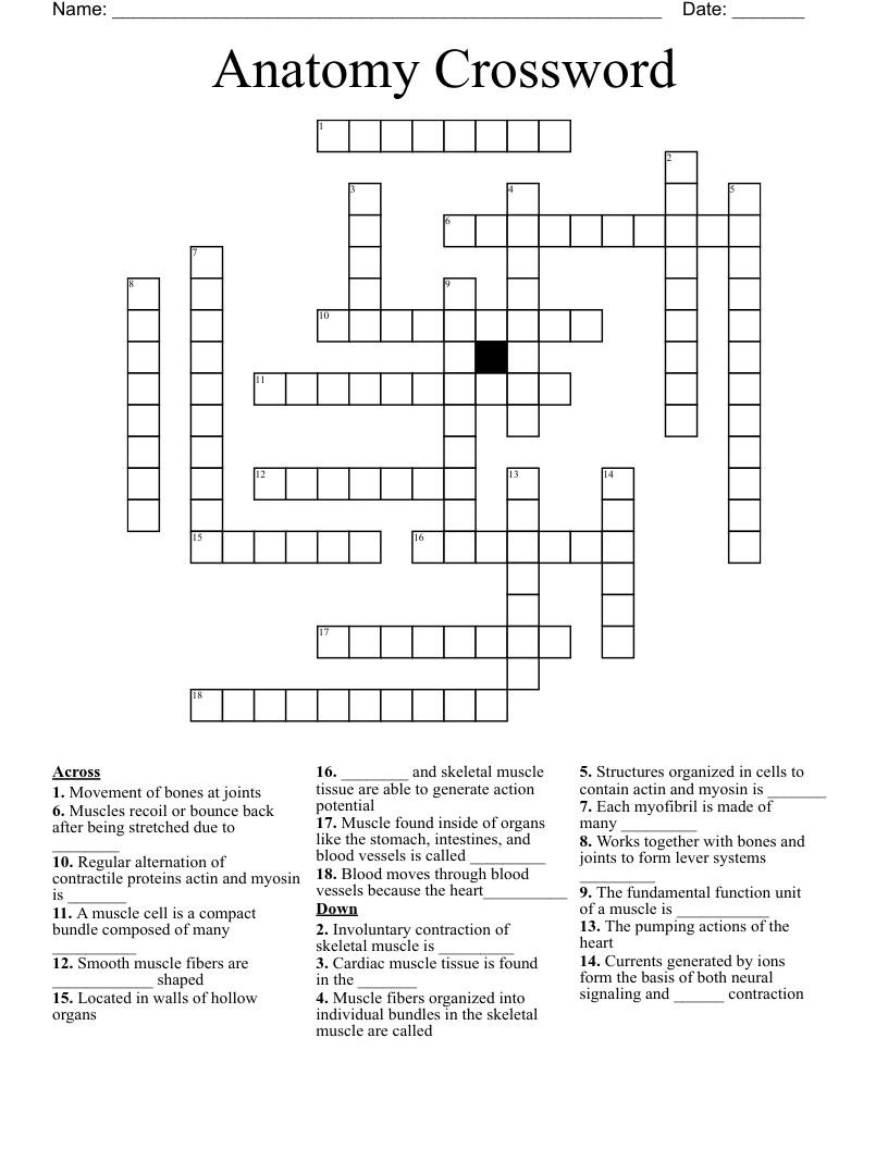 Anatomy Crossword