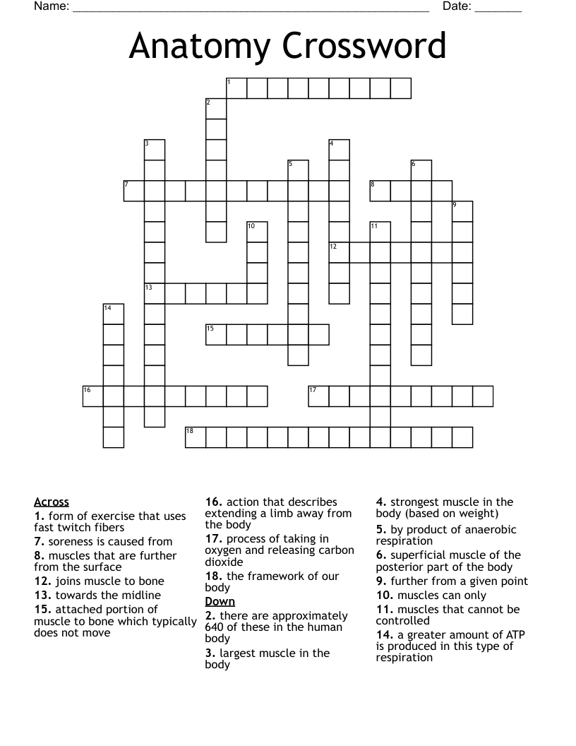 Anatomy Crossword