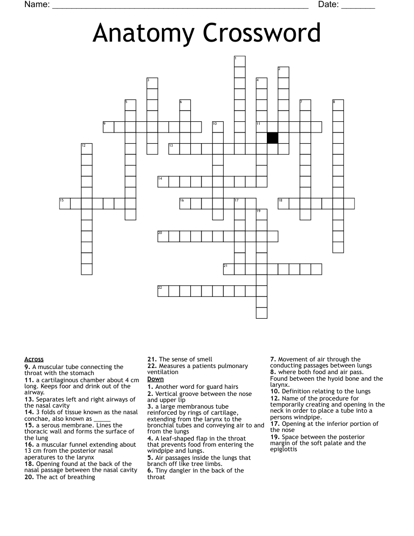 Anatomy Crossword