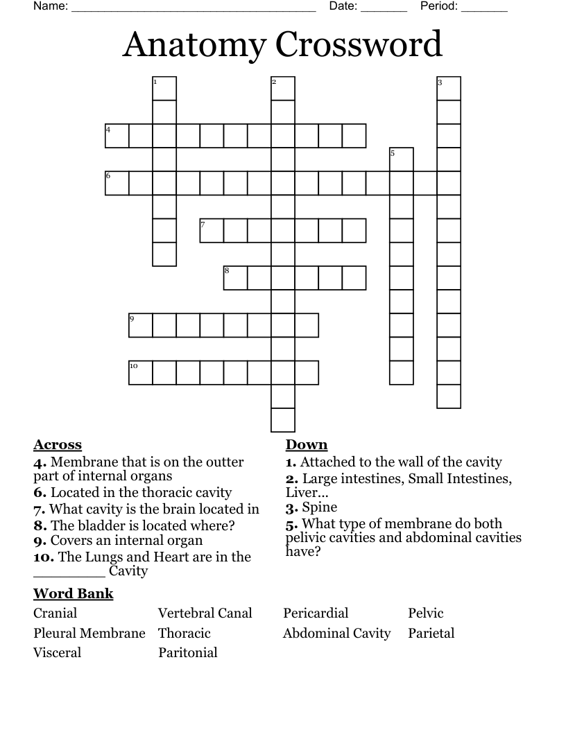 Anatomy Crossword