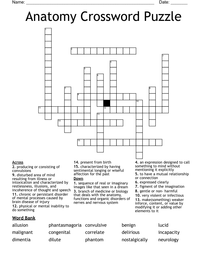 Anatomy Crossword Puzzle