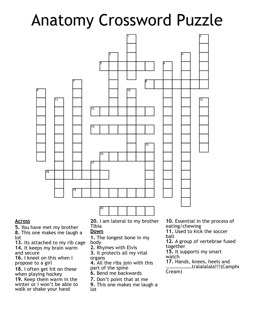 Anatomy Crossword Puzzle