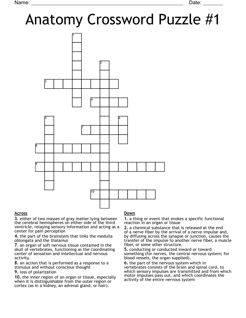 Anatomy Crossword Puzzle #1