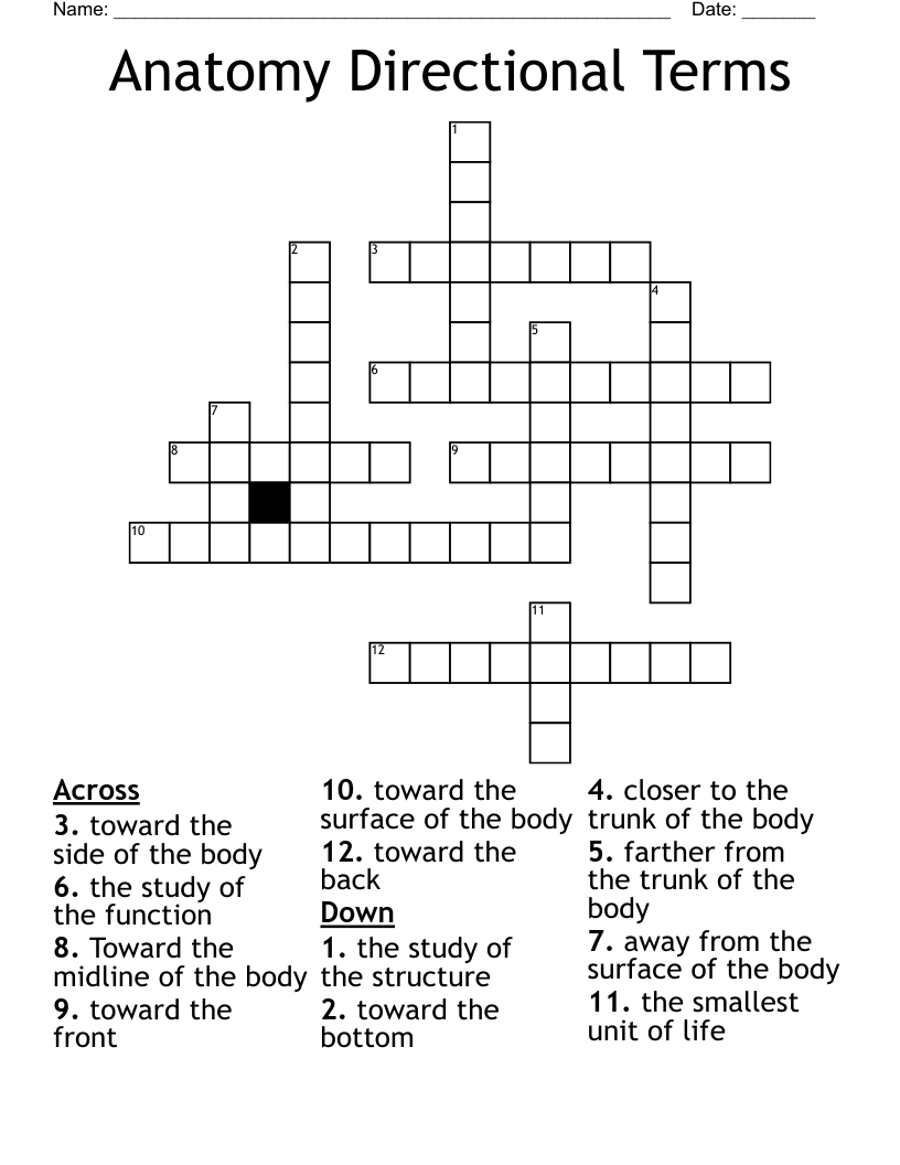 Anatomy Directional Terms Crossword