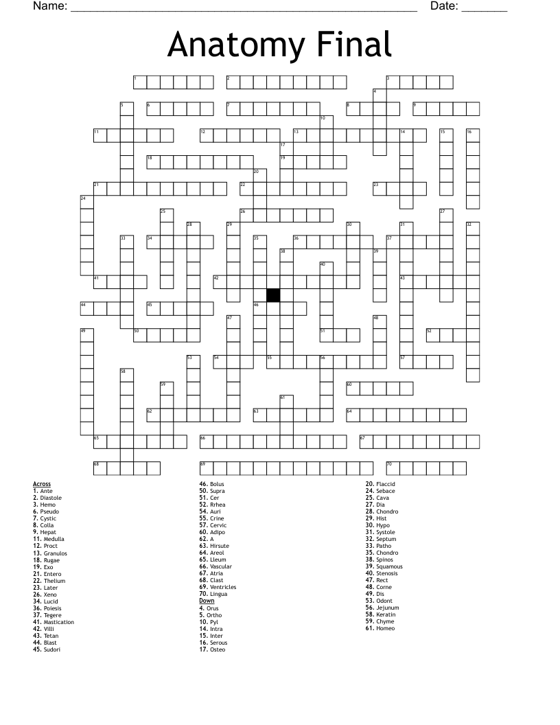 Anatomy Final Crossword