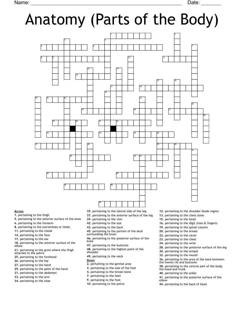 Anatomy (Parts of the Body) Crossword
