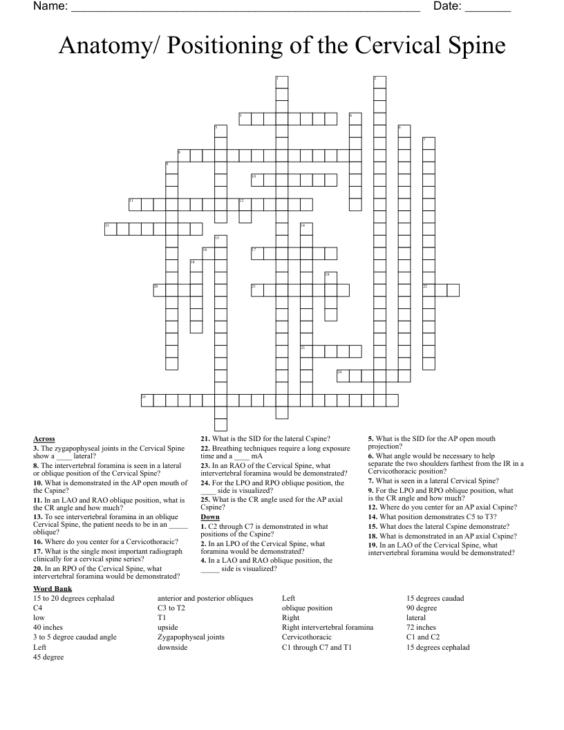 Anatomy/ Positioning of the Cervical Spine Crossword