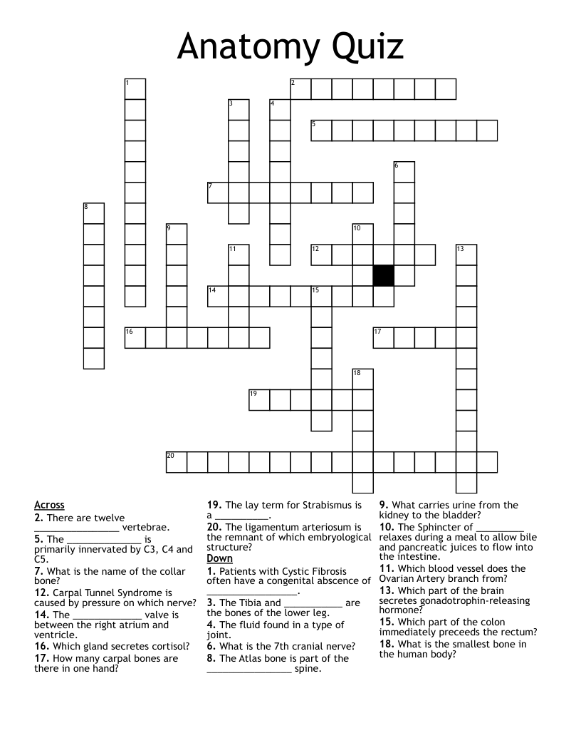 Anatomy Quiz Crossword