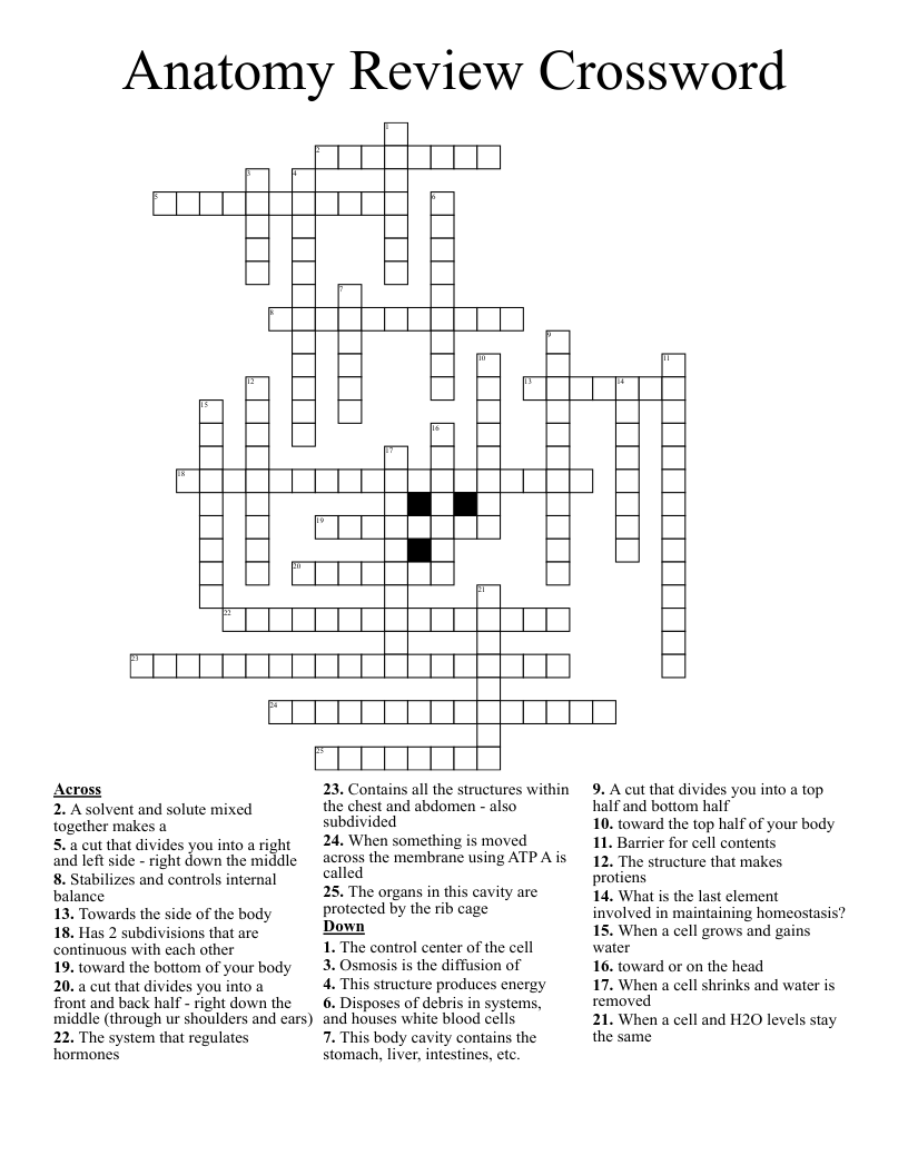 Anatomy Review Crossword