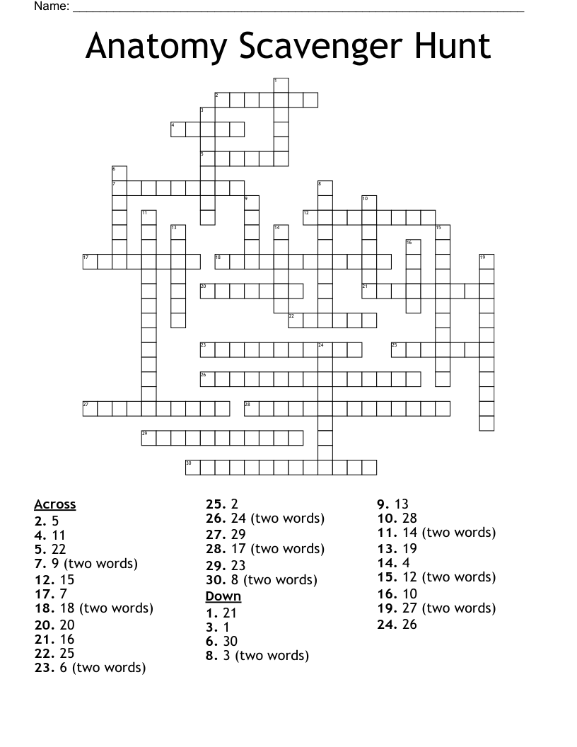 Anatomy Scavenger Hunt Crossword