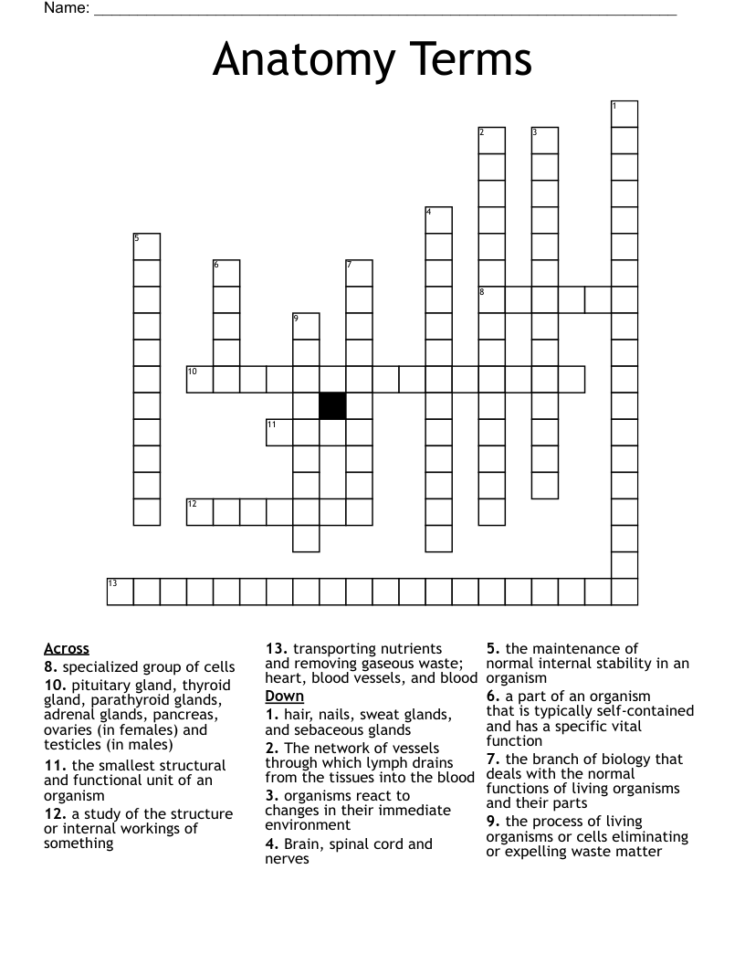 Anatomy Terms Crossword