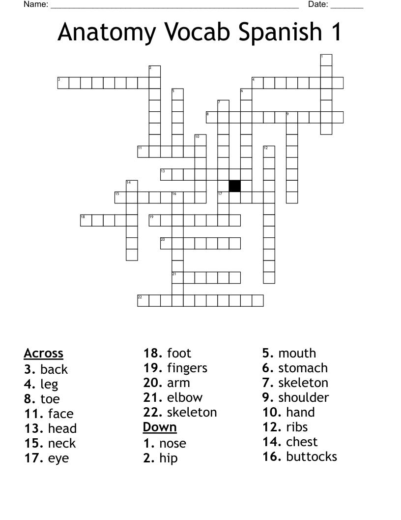 Anatomy Vocab Spanish 1 Crossword