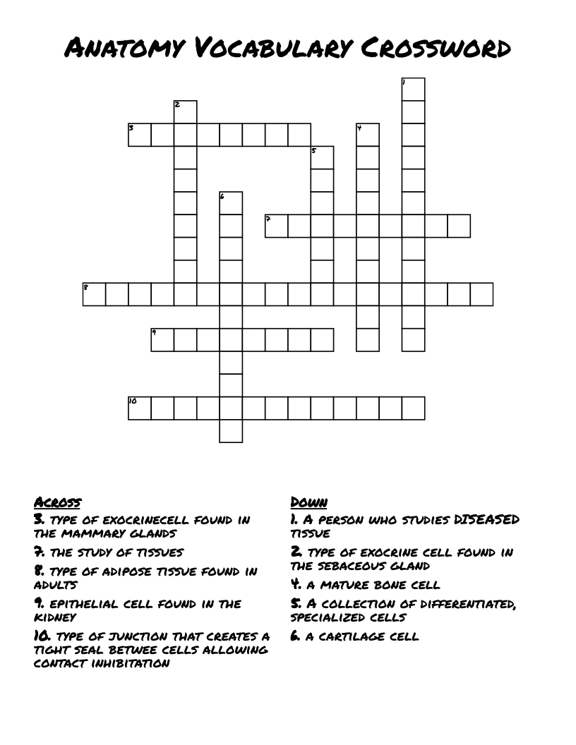 Anatomy Vocabulary Crossword 