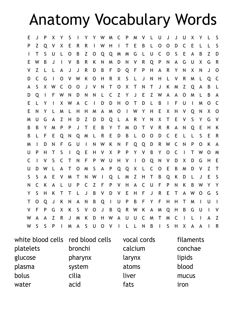Anatomy Vocabulary Words