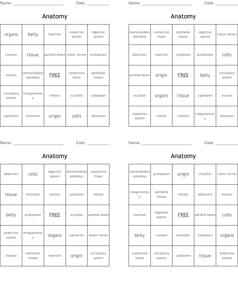 Anatomy  Bingo Cards