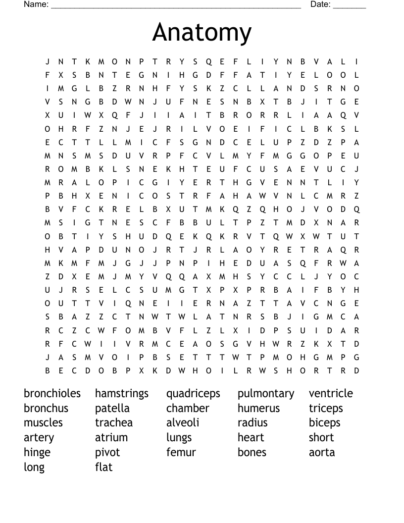Anatomy  Word Search