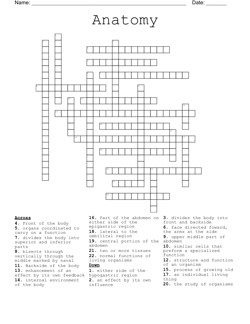 Anatomy  Crossword
