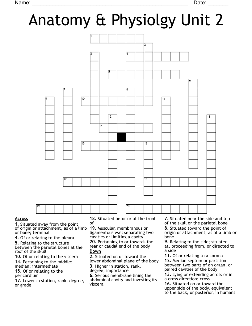 Anatomy & Physiolgy Unit 2 Crossword