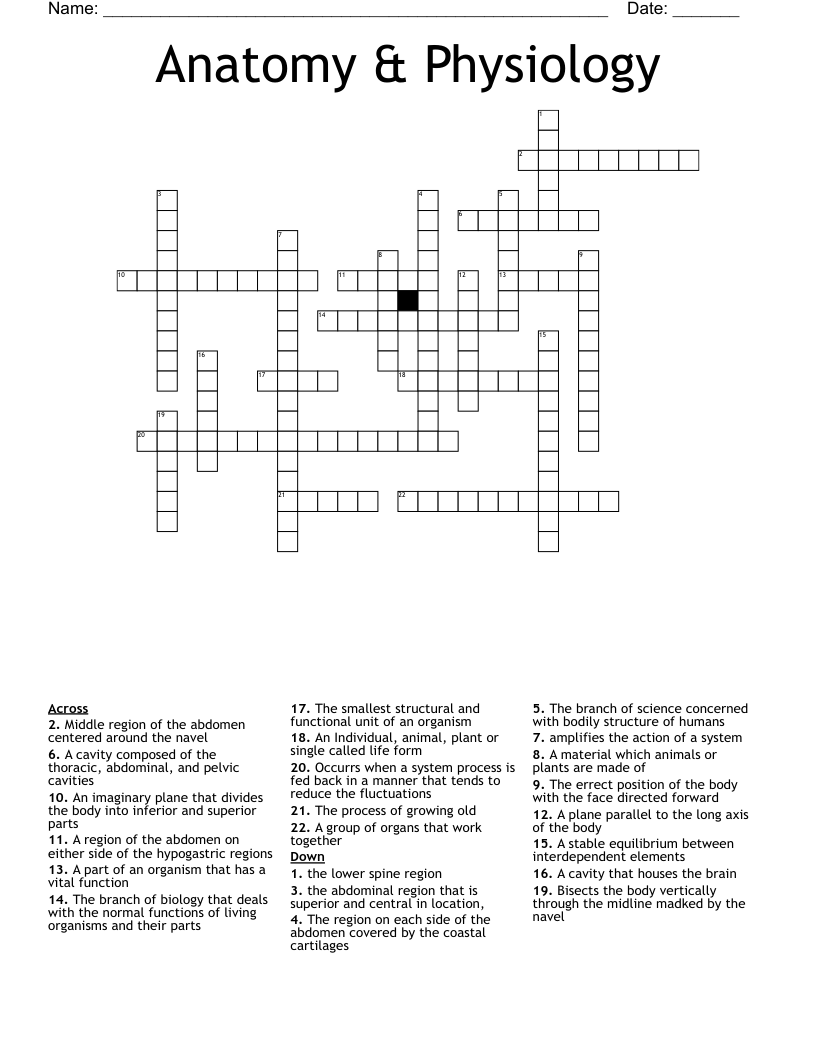 Anatomy & Physiology Crossword