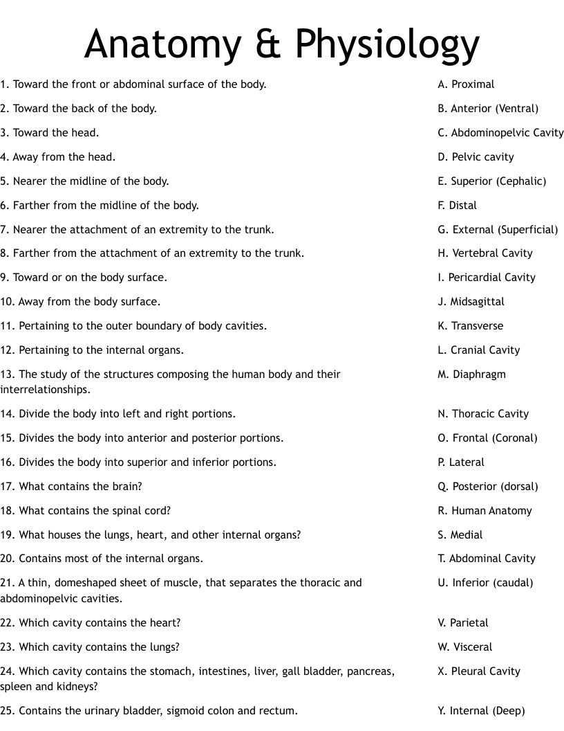 Anatomy & Physiology Worksheet