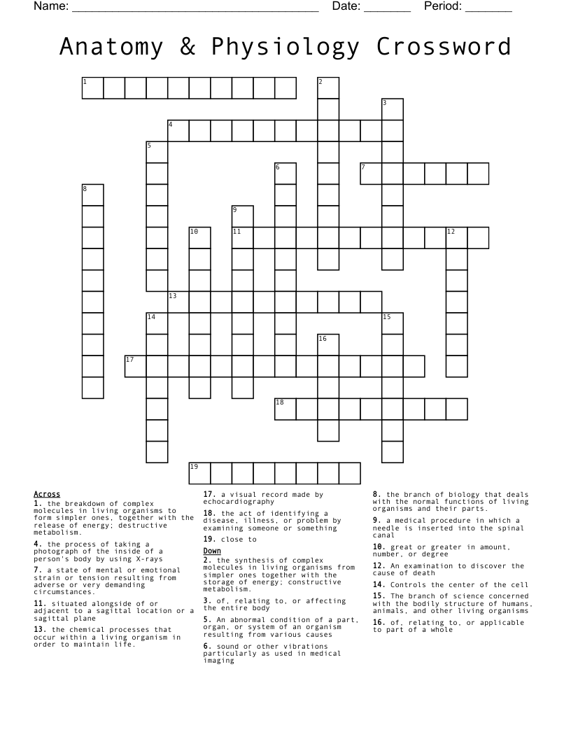 Anatomy & Physiology Crossword