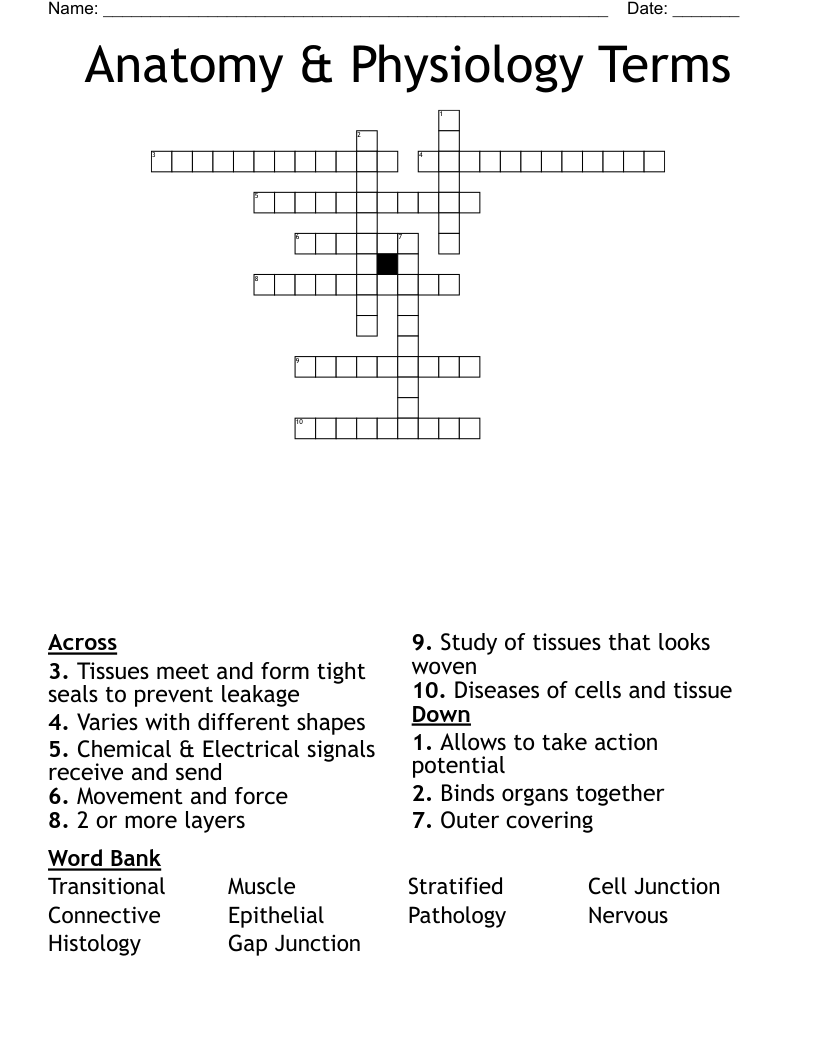 Anatomy & Physiology Terms Crossword