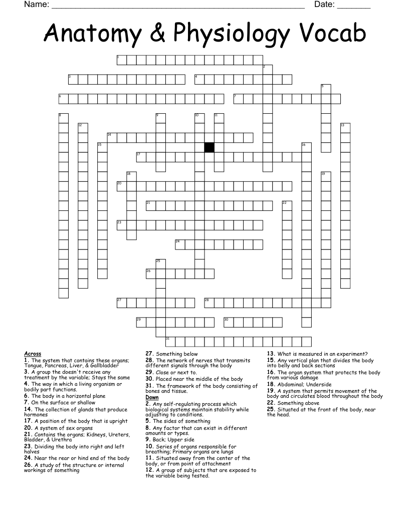 Anatomy & Physiology Vocab Crossword