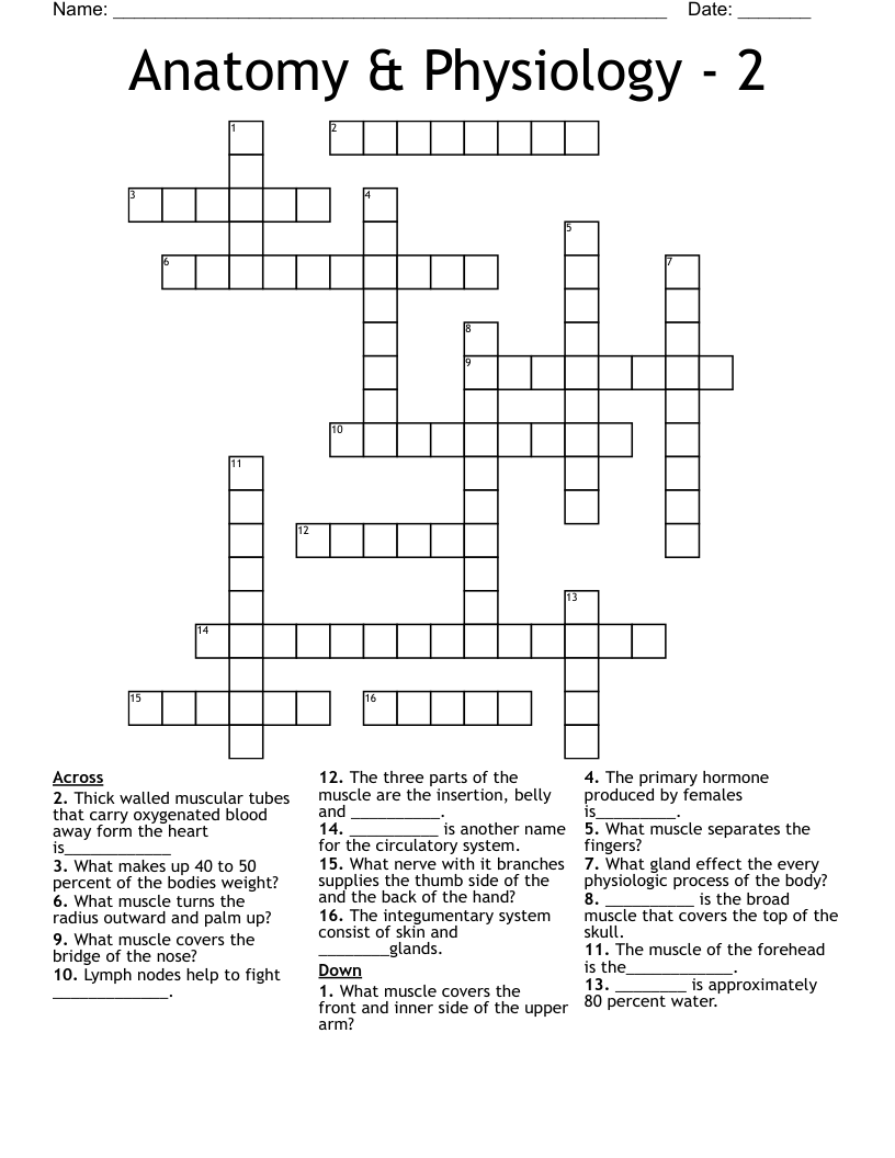 Anatomy & Physiology - 2 Crossword