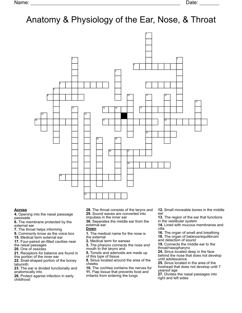 Anatomy & Physiology of the Ear, Nose, & Throat  Crossword
