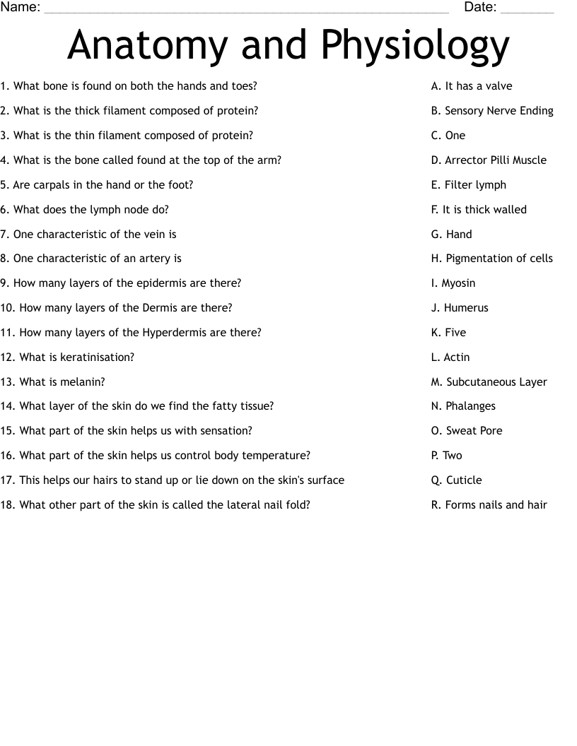 Anatomy and Physiology Worksheet