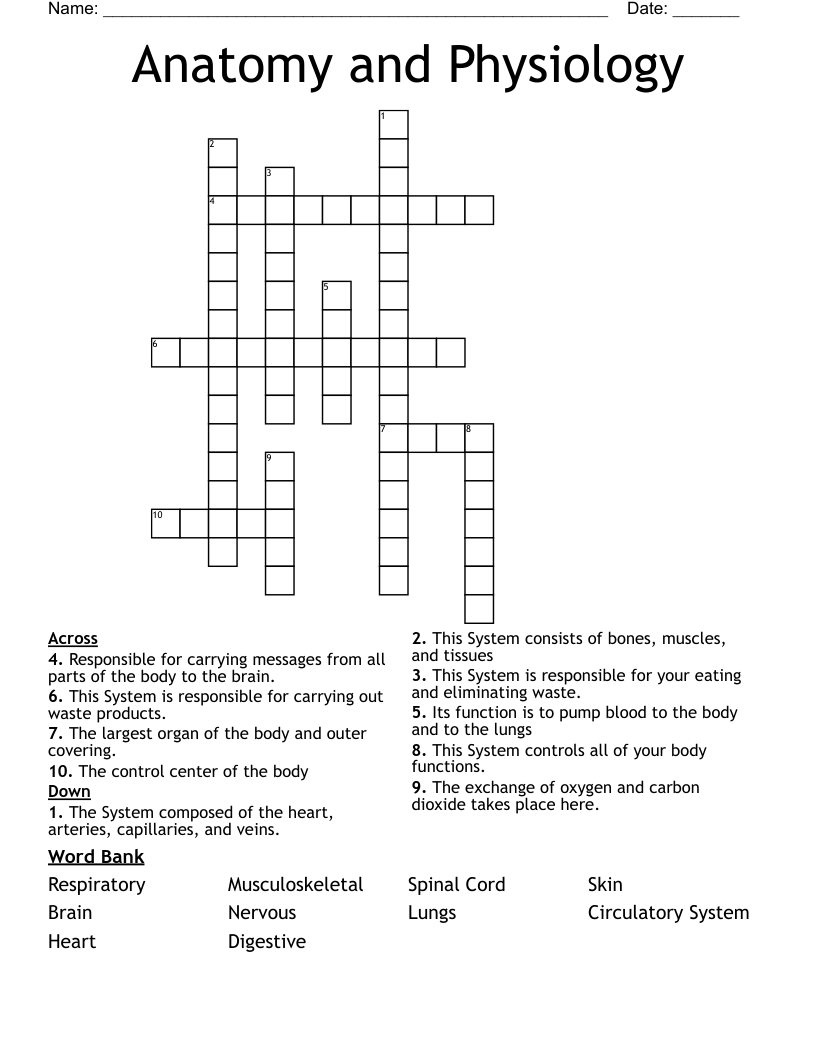 Anatomy and Physiology Crossword