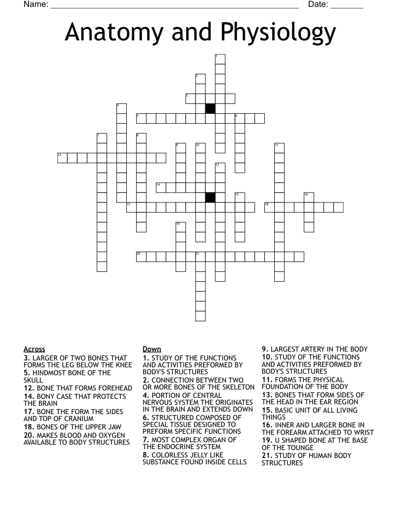 Anatomy and Physiology Crossword