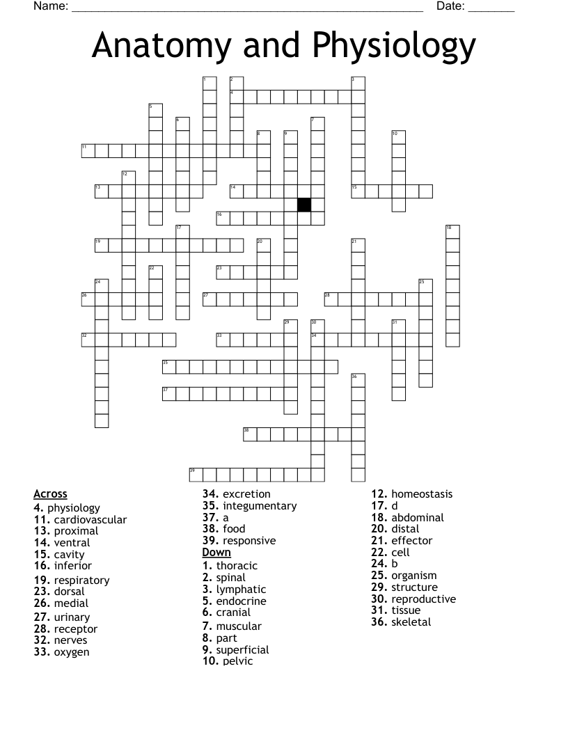 Anatomy and Physiology Crossword