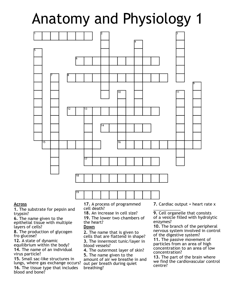 Anatomy and Physiology 1 Crossword