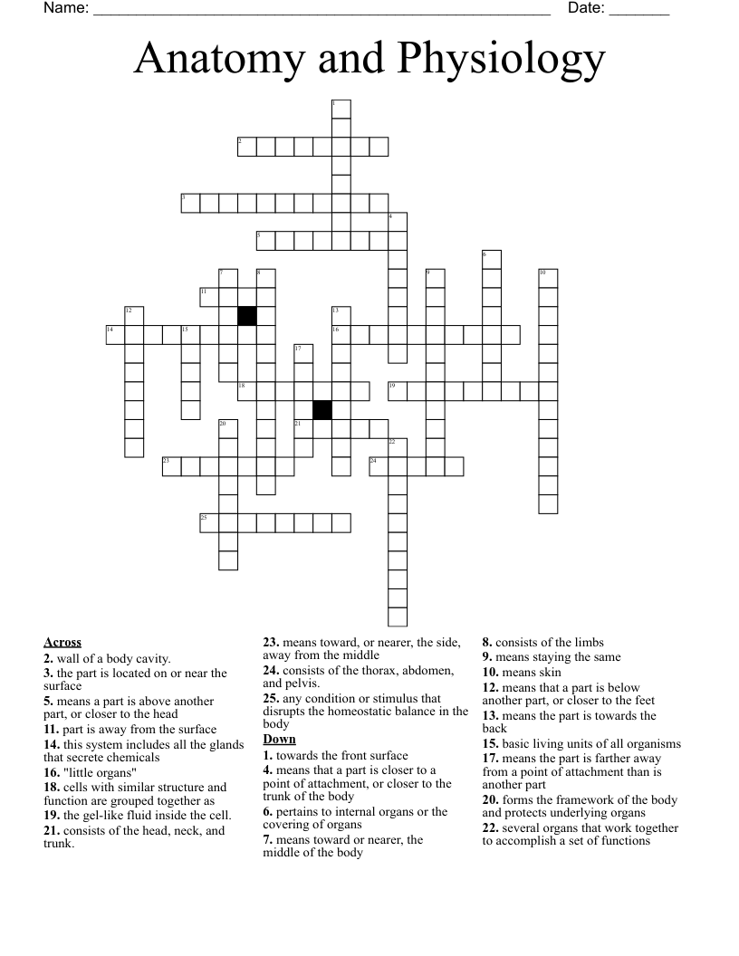 Anatomy and Physiology Crossword