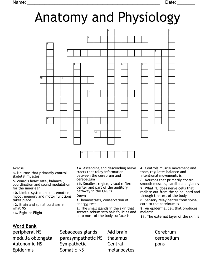 Anatomy and Physiology Crossword