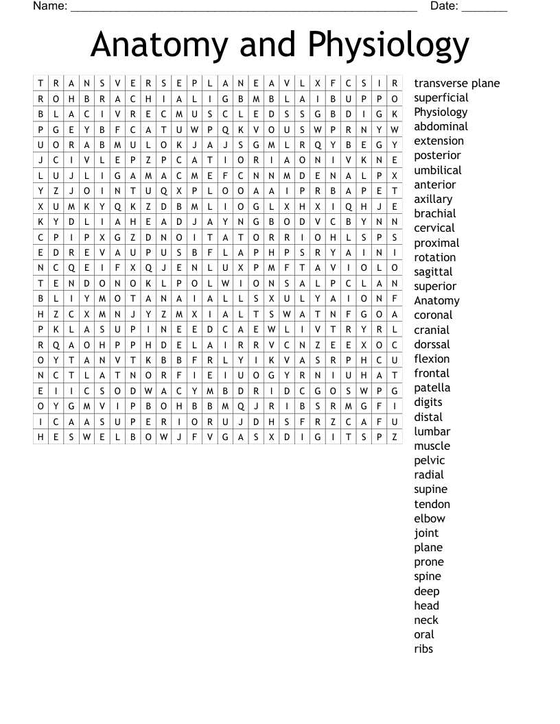 Anatomy and Physiology Word Search
