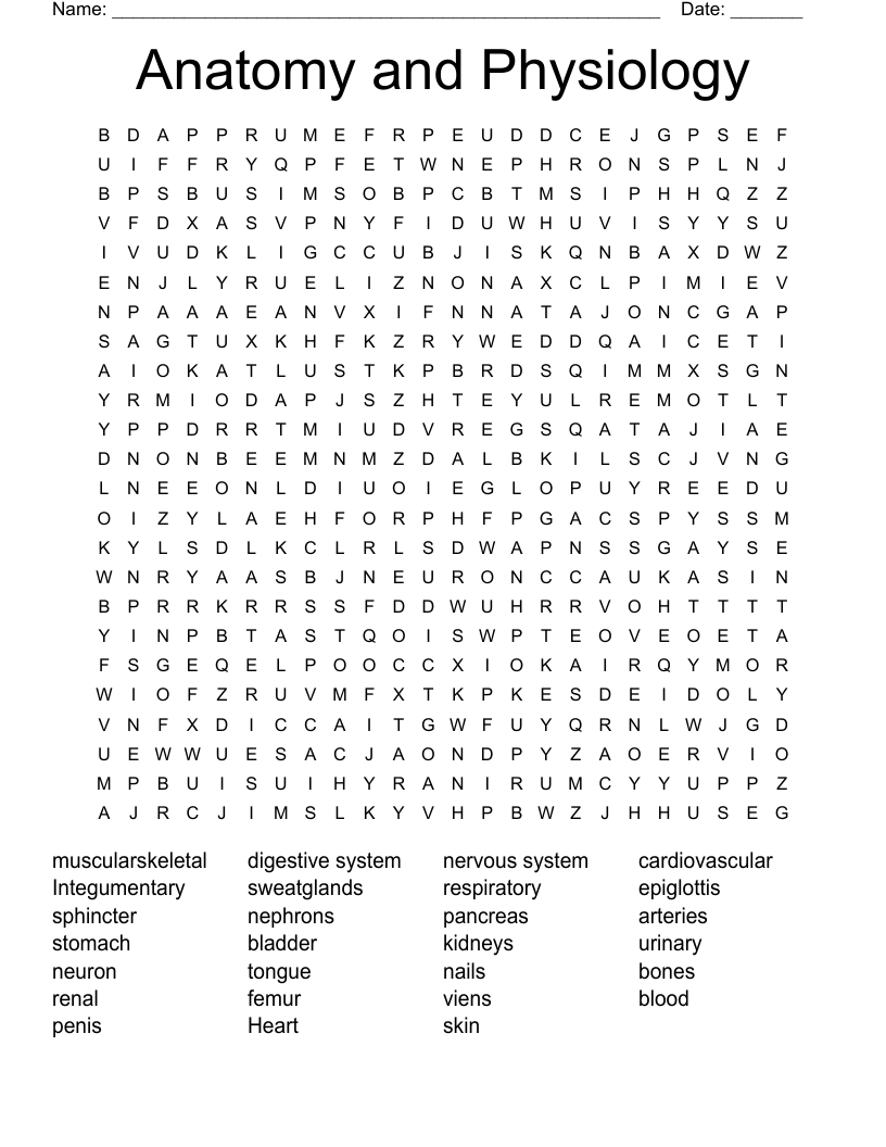 Anatomy and Physiology Word Search