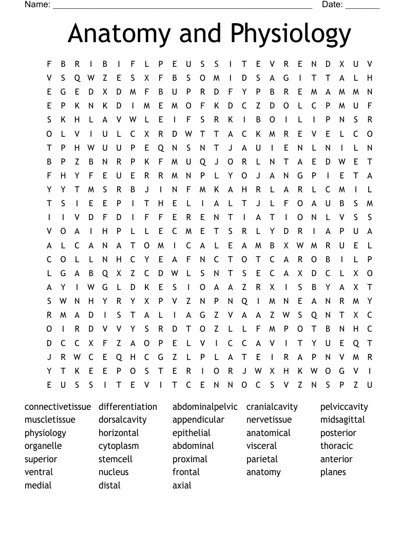 Anatomy and Physiology Word Search