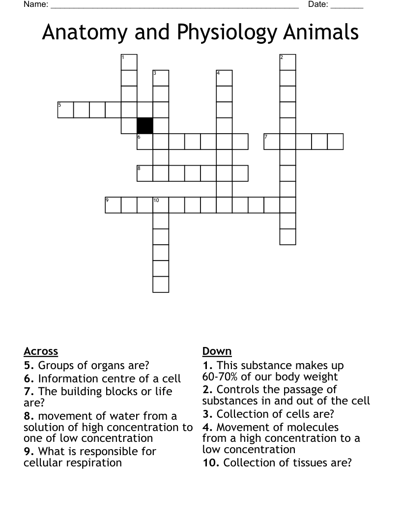 Anatomy and Physiology Animals Crossword