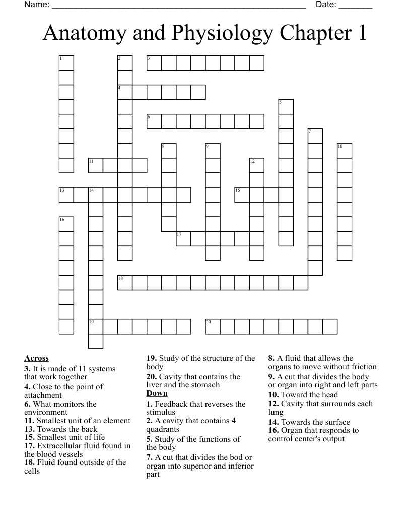 Anatomy and Physiology Chapter 1 Crossword