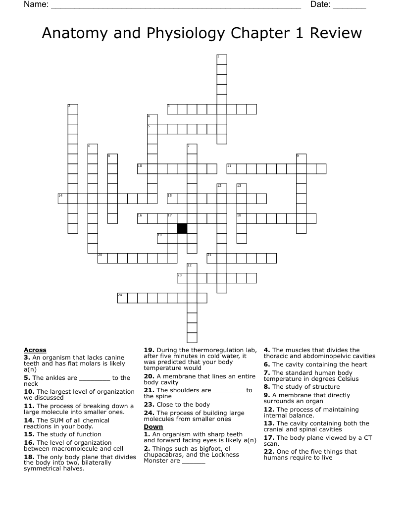 Anatomy and Physiology Chapter 1 Review Crossword