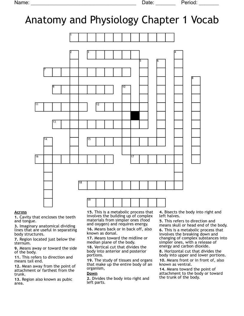 Anatomy and Physiology Chapter 1 Vocab Crossword