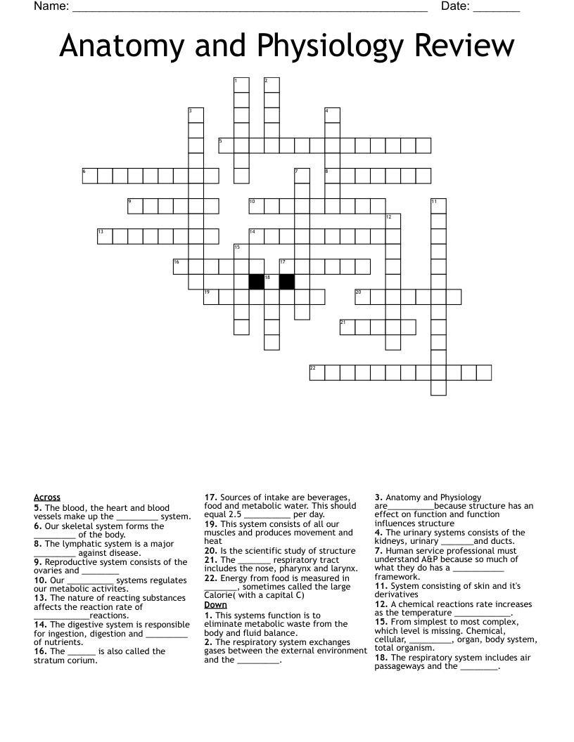 Anatomy and Physiology Review Crossword