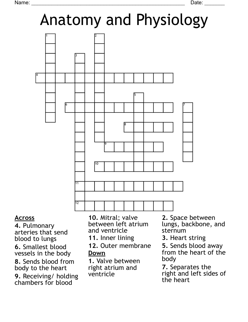 Anatomy and Physiology  Crossword