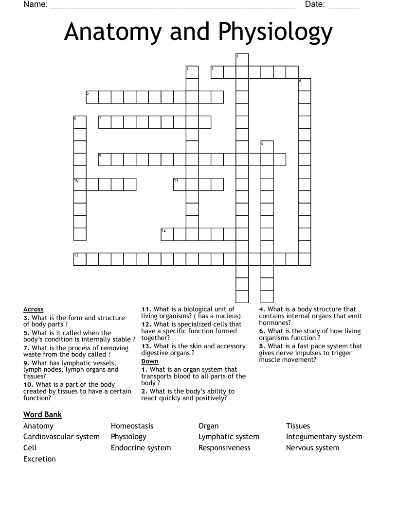 Anatomy and Physiology  Crossword