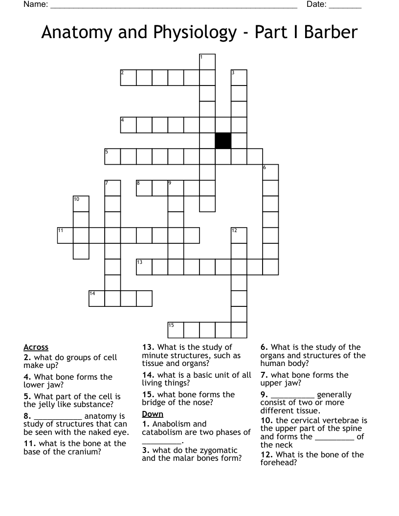 Anatomy and Physiology - Part I Barber Crossword