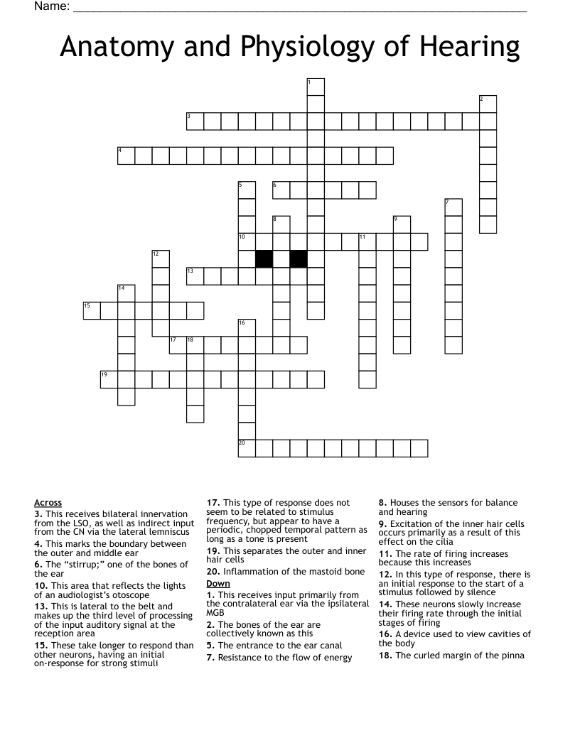 Anatomy and Physiology of Hearing Crossword