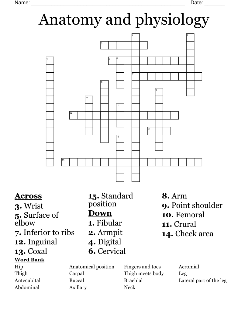Anatomy and physiology  Crossword